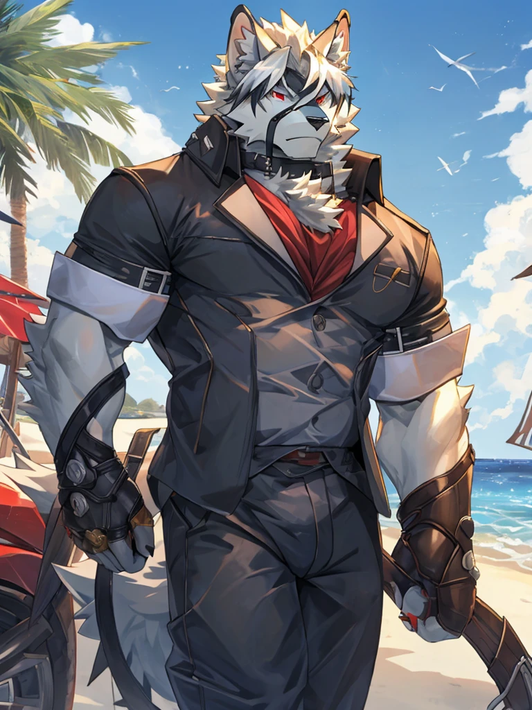 Masterpiece, Solo, Von Lycaon, Furry White wolf, Red Eyes, Muscular Body, Cool Pose, Handsome, Good Looking, Adult, Fierce, Smirking, Summer outfit, summer background