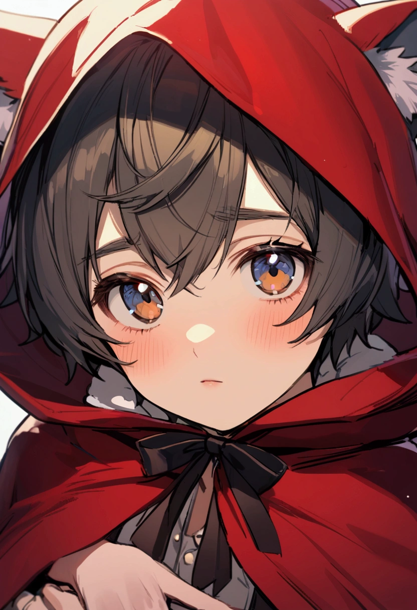 Shota Boy Wolf Ears　Little Red Riding Hood　 Two boys hugging each other, close up, sexy, close-up, looking at camera　Depiction up to the waist