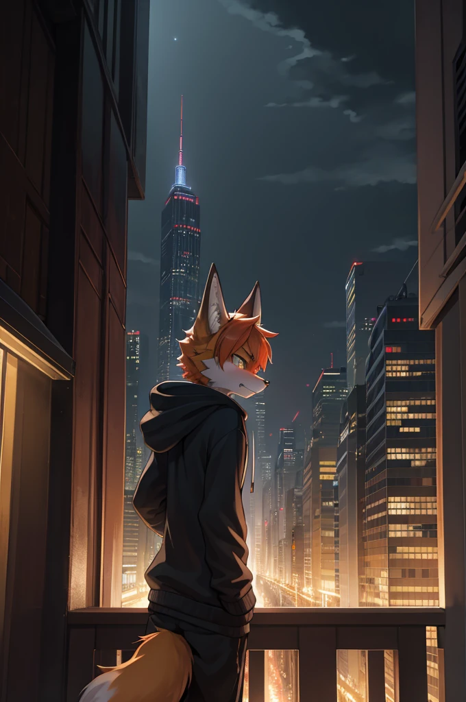 fox boy,Hoodie outfit,angry,Intimidation,8k resolution,high resolution,最high resolution,It's dark outside,View from the veranda,Big city with skyscrapers!!!The cityscape of Tokyo?