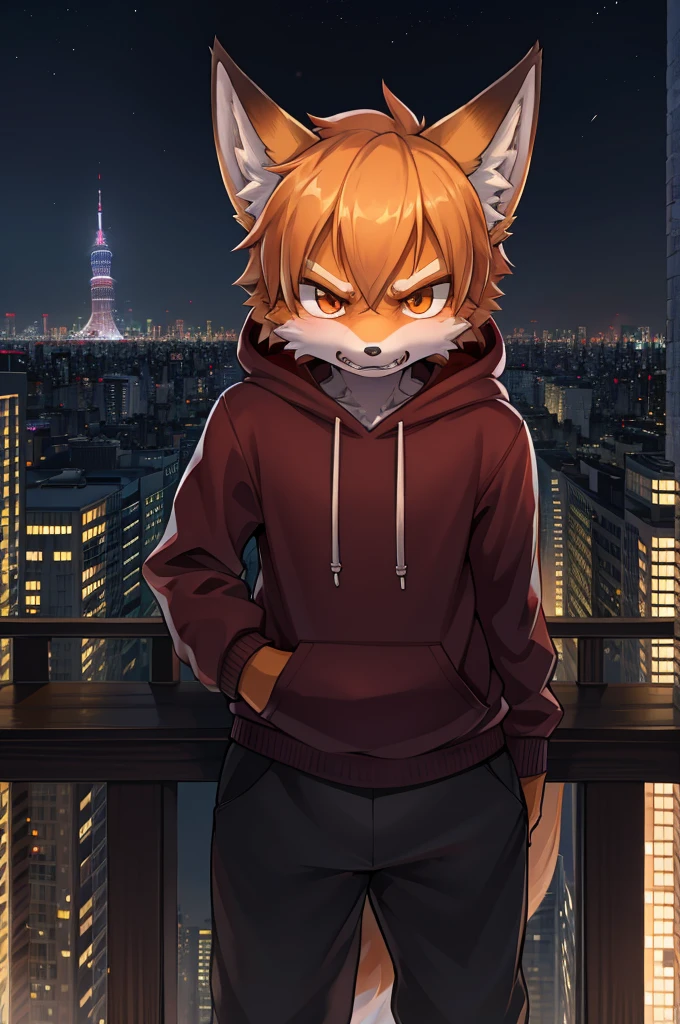 fox boy,Hoodie outfit,angry,Intimidation,8k resolution,high resolution,最high resolution,It's dark outside,View from the veranda,Big city with skyscrapers！！！The cityscape of Tokyo？