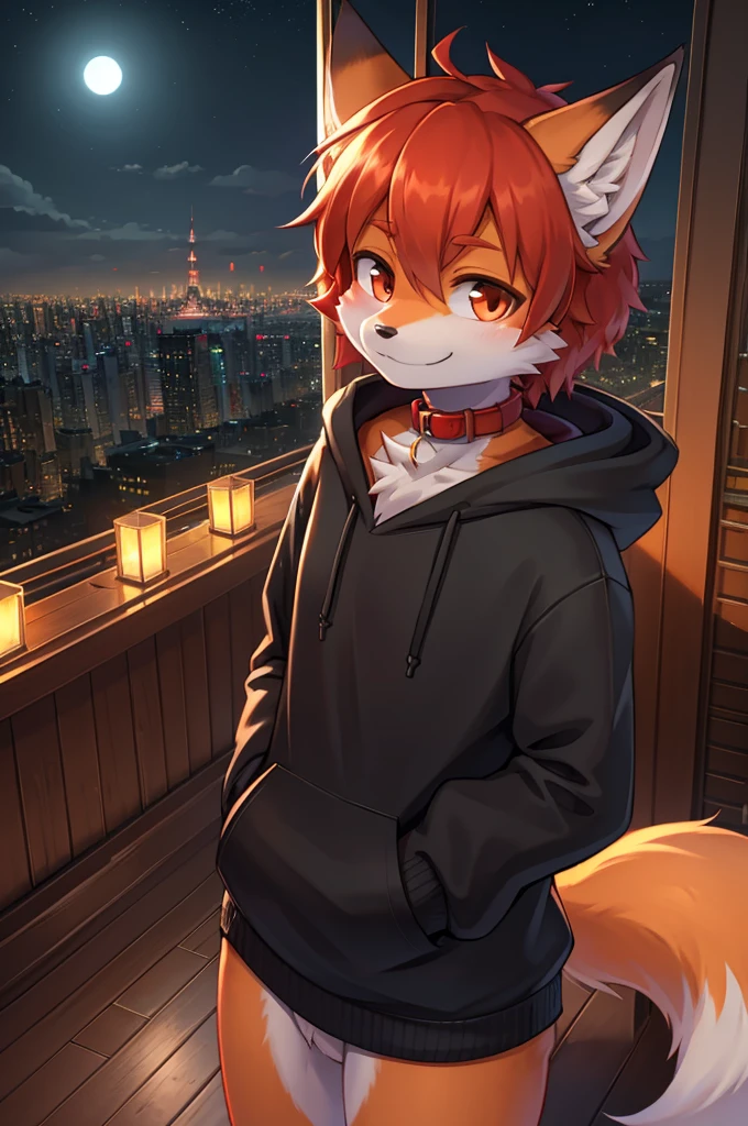 fox boy,Hoodie outfit,8k resolution,high resolution,最high resolution,It's dark outside,View from the veranda,Big city with skyscrapers！！！The cityscape of Tokyo？smile,Red collar