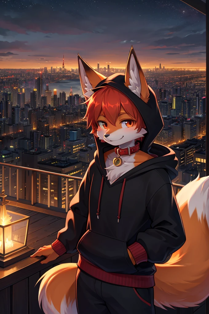 fox boy,Hoodie outfit,8k resolution,high resolution,最high resolution,It's dark outside,View from the veranda,Big city with skyscrapers！！！The cityscape of Tokyo？smile,Red collar