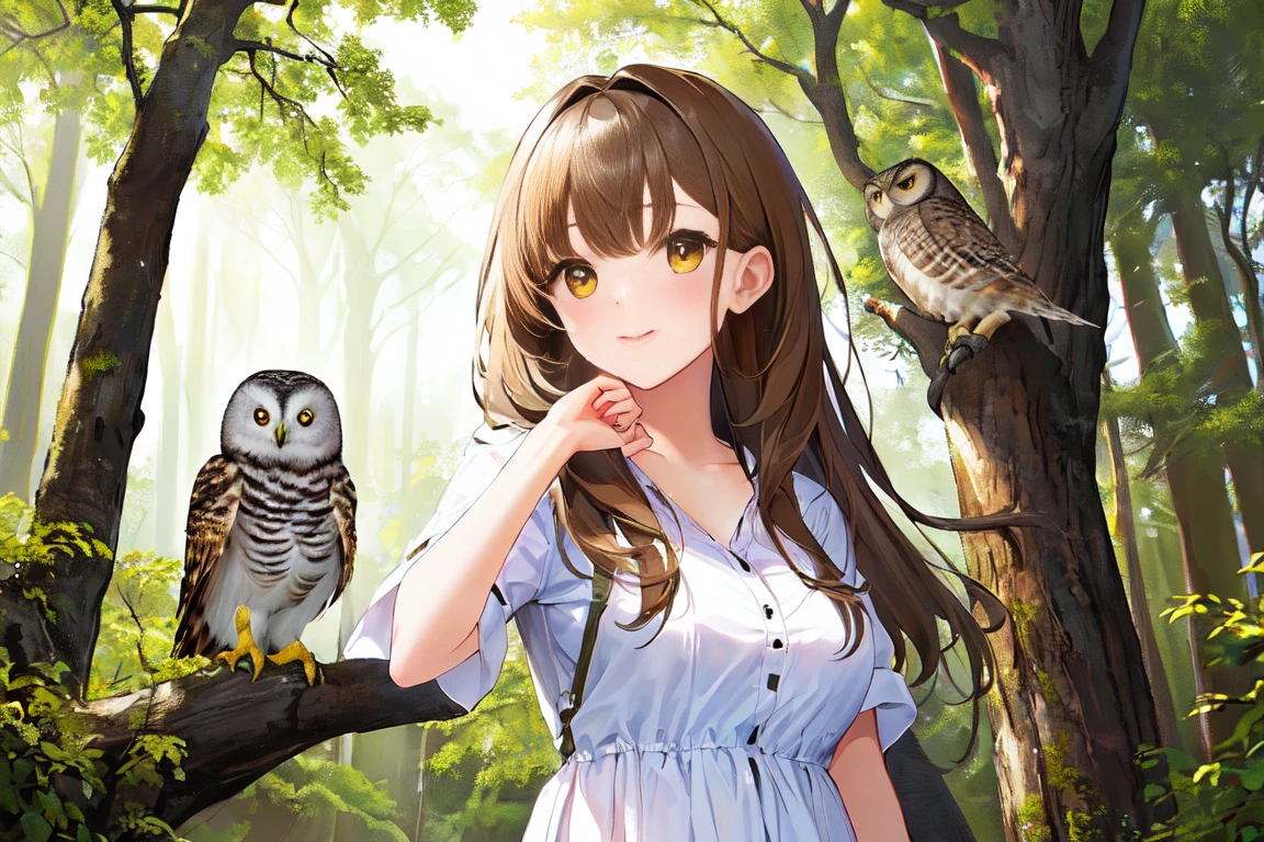 Highest quality masterpiece Cute with an owl on her shoulder Photo style Real in the forest