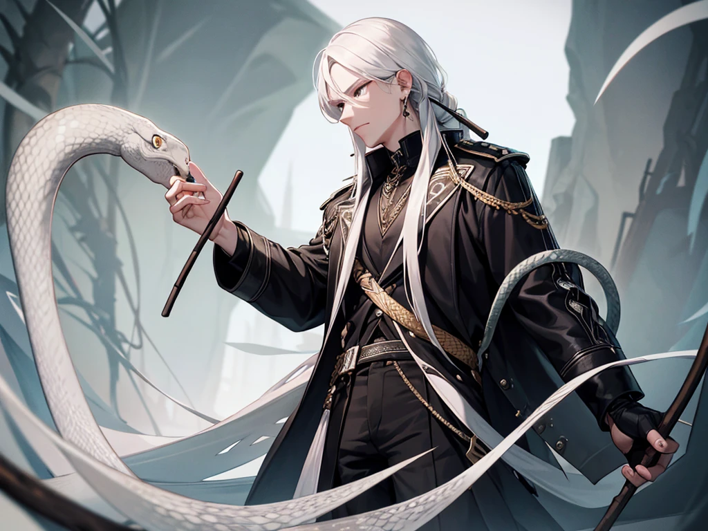 a man holding a stick with a snake wrapped around it, white hair, black eyes, snake ring on his right hand, looking forward, masterpiece, 8k, hd, black jacket, hd quality, clear