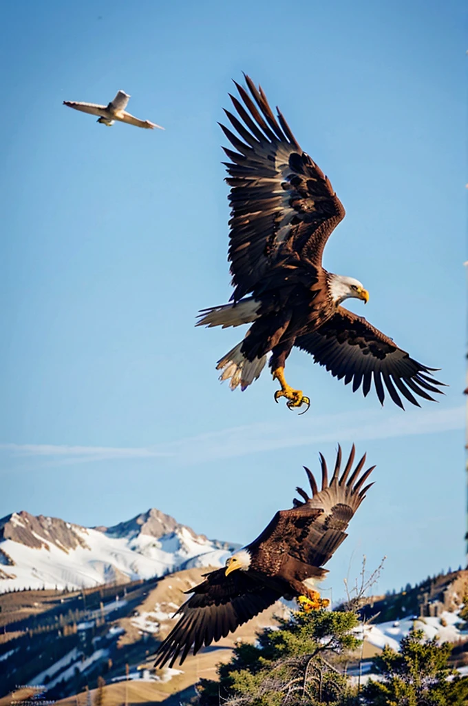 eagle hunting action