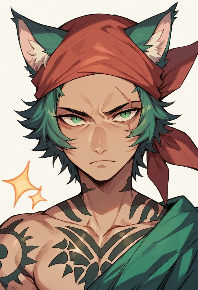 feline humanoid, Green left eye, right eye with scar, bandana, sun tattoo on left forehead, lines tattoo, symbols and birds