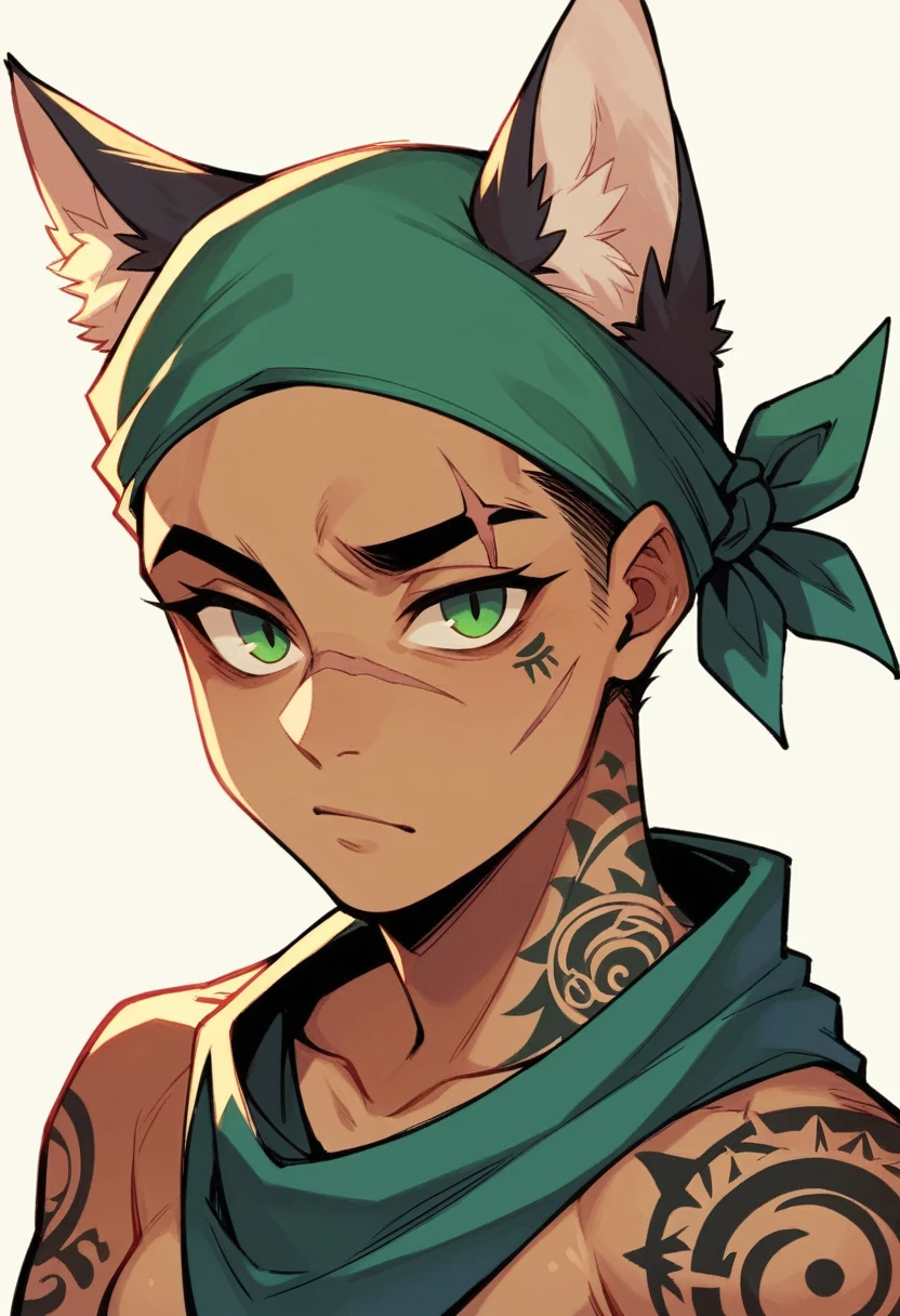 feline humanoid, Green left eye, right eye with scar, bandana, sun tattoo on left forehead, lines tattoo, symbols and birds