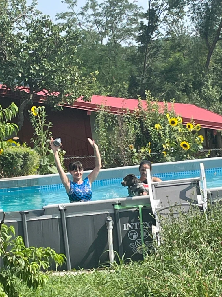 a bear waving at the edge of the pool 