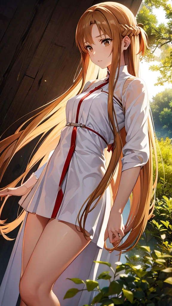 aaasuna, long hair, Brown hair, braid, Brown eyes, white thighs,naked