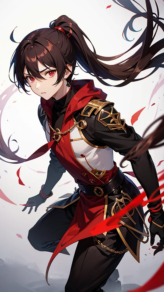 Anime boy with red eyes dark brown ponytail hair wearing fantasy dress 