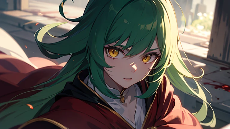 top quality,Perfect Face, long dark green hair, yellow eyes,Master of Light and Shadow,Epic feeling,Blood-red robe,battlefield