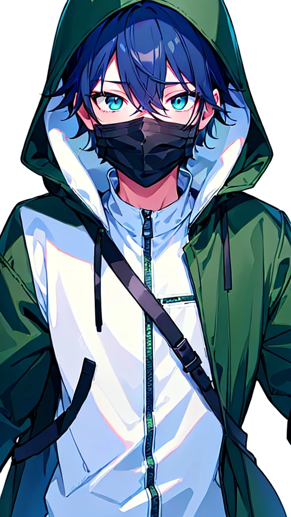 [(WHITE BACKGROUND:1.5),::5], ((((masterpiece)))), high quality, ultra very high resolution, full color, (((solo))), ((younger boy)), (dark Blue hair covering one eye), (green detailed eyes), anime, ((upper body)), gray parka, parka food, (Black mask)