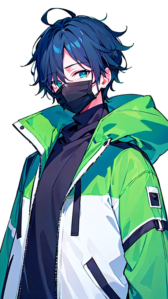 [(WHITE BACKGROUND:1.5),::5], ((((masterpiece)))), high quality, ultra very high resolution, full color, (((solo))), ((younger boy)), (dark Blue hair covering one eye), (green detailed eyes), anime, ((upper body)), gray parka, parka food, (Black mask)