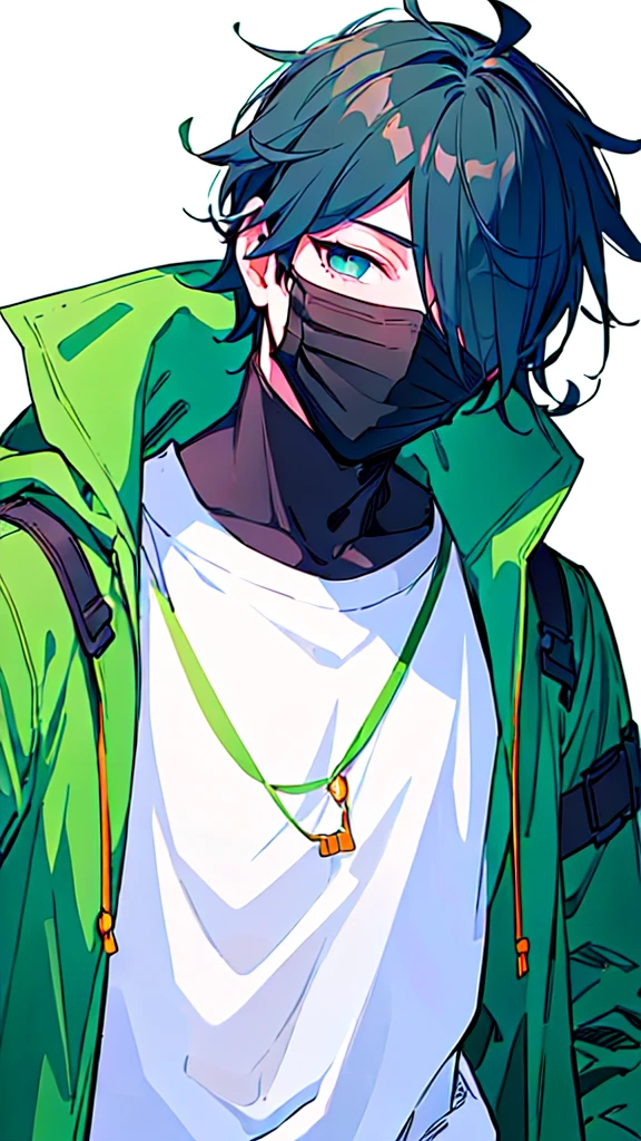 [(WHITE BACKGROUND:1.5),::5], ((((masterpiece)))), high quality, ultra very high resolution, full color, (((solo))), ((younger boy)), dark Blue hair, ((hair covering one eye)), (green detailed eyes), anime, ((upper body)), gray parka, parka food, (Black mask)