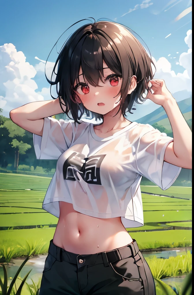 countryside,Paddy field,Surprised,Are standing,Red eyes,high school girl,short hair,boyish,Black Hair,blush,Small white t-shirt,Olive green shorts,White skin,summer,shy,Cowboy Shot,Sweaty,Wet,Big Breasts,Open your mouth wide,panic,PAW Pose,belly button,Troubled face