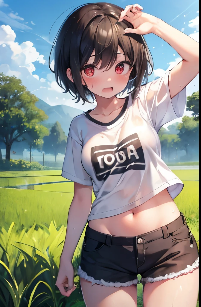 countryside,Paddy field,Surprised,Are standing,Red eyes,high school girl,short hair,boyish,Black Hair,blush,Small white t-shirt,Olive green shorts,White skin,summer,shy,Cowboy Shot,Sweaty,Wet,Big Breasts,Open your mouth wide,panic,PAW Pose,belly button,Troubled face