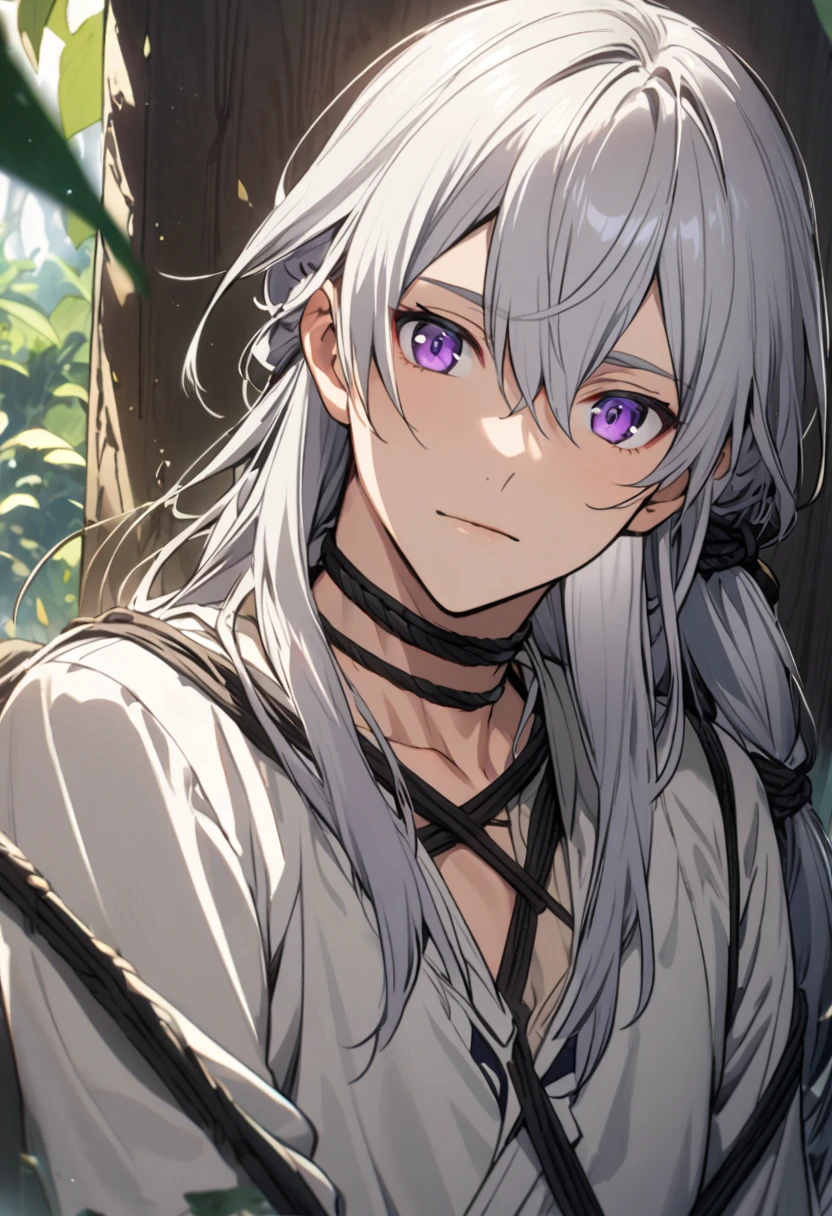 A man with long silver hair tied up, with detailed purple eyes and elven features, detailed, youthful-looking face