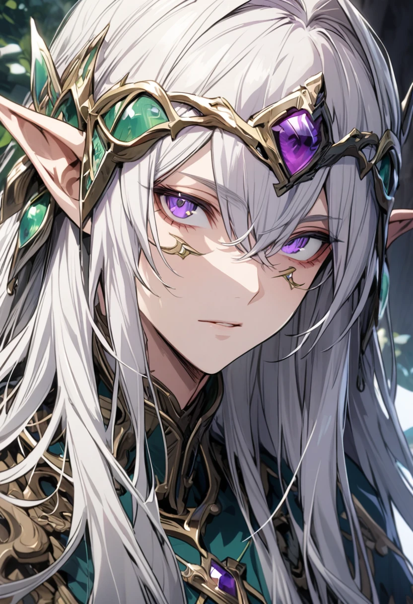 A man with long silver hair, detailed purple eyes and detailed face, with elven features