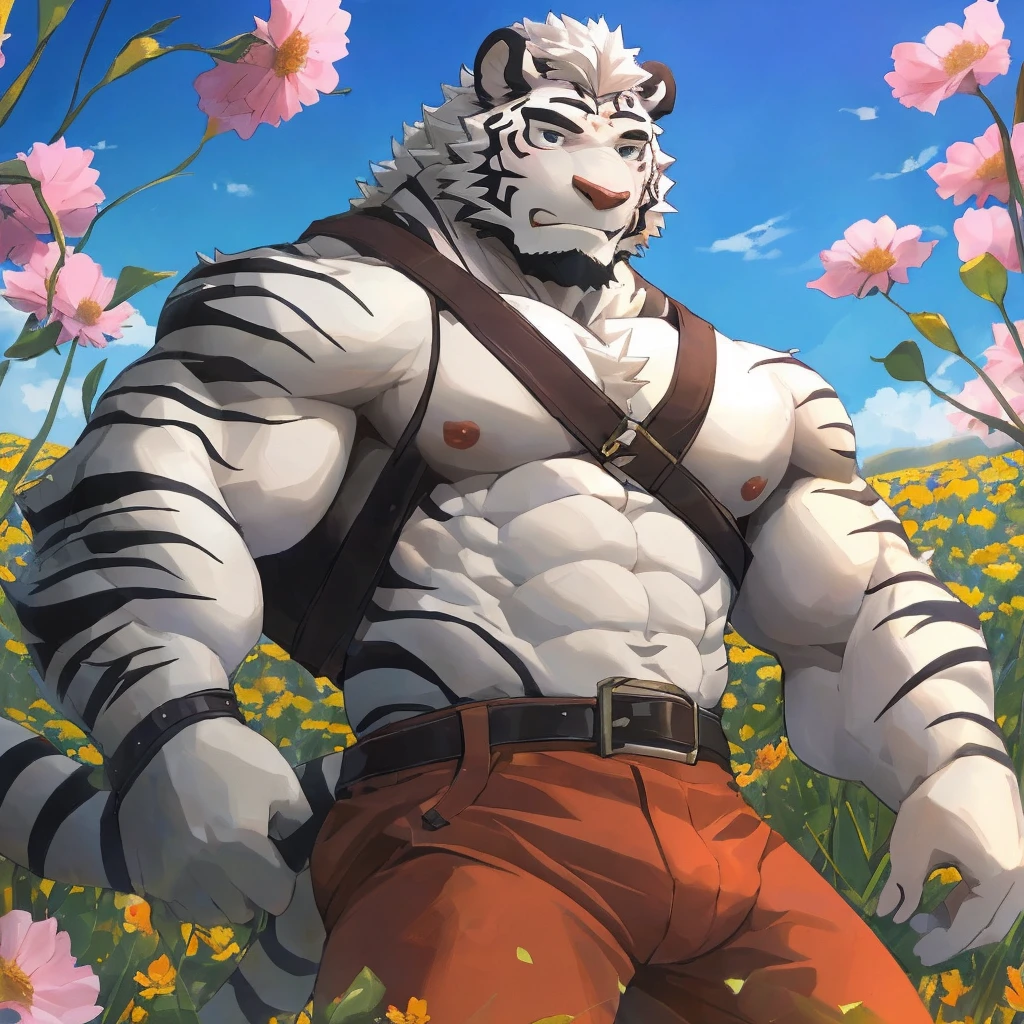 masterpiece,best quality,outdoor，Sunlight，noon，Flower Field，Flowers，plant，Male focus，White tiger-type orcs，(Athletic:1.5), (White fur,Black eyebrows:1.5),Black Nose，Five fingers，Strong body，Tiger Teeth，Pectoralis major，Eight-pack abs，hairy，White hair，Unbutton your clothes，show chest muscles，belt