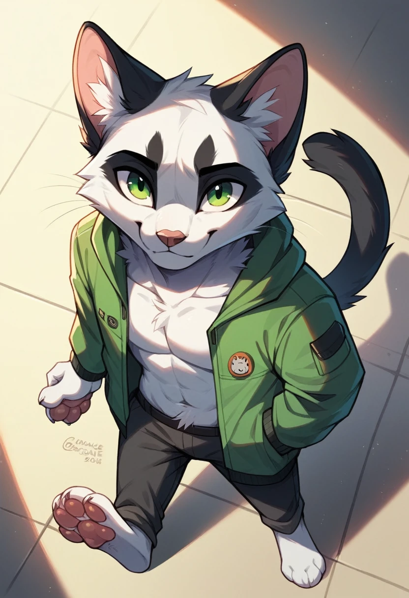 anthro, cat, white fur, green eyes, green jacket, big black ears, black tail tip, furry, looking down, Viewers look at, Viewer looks up, smiling, above standing, Macro, Fußfocus, alone, good lighting, Focus on feet, raised foot, Focus on the bottom of the foot, fluffy, furry paws, Paw pads, schwarze Paw pads, stomp something, adult