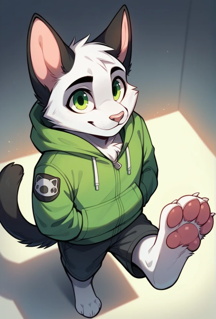 anthro, cat, white fur, green eyes, green jacket, big ears, Macro, Fußfocus, good lighting, Focus on feet, Sit, fluffy, pelzig paws, Paw pads, schwarze Paw pads, penis 