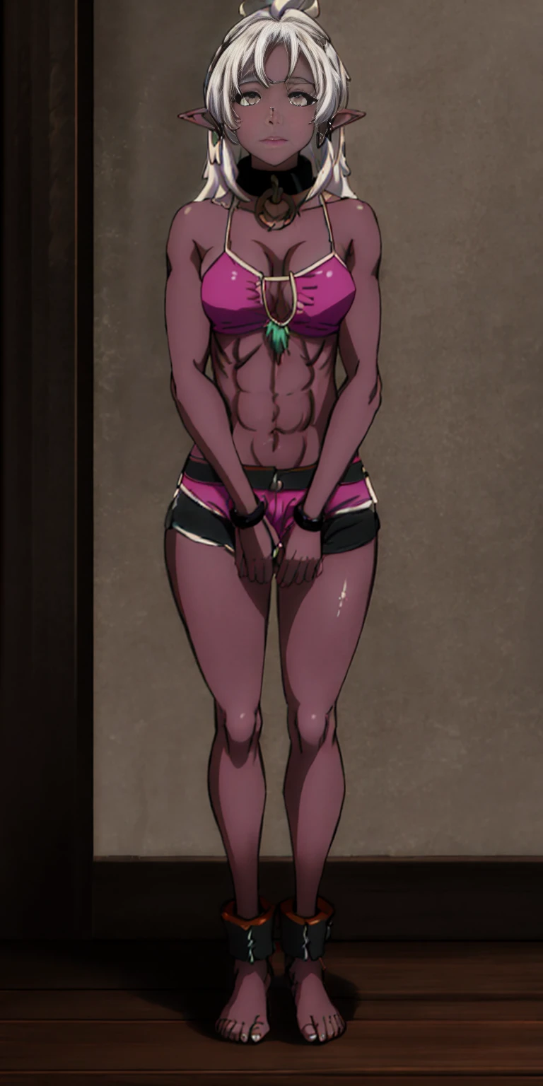 Appearance
Gender: Female
Age: Mature
Race: Drow (elf with dark skin and white hair)
Height: Full-body
Skin: Gray
Background: Plain Gray
Eyes: Purple
Attire: Bikini, revealing abdominal muscles
Accessories: Large earrings, ragged rags, chain necklace, leather collar choker neck bell 🔔 