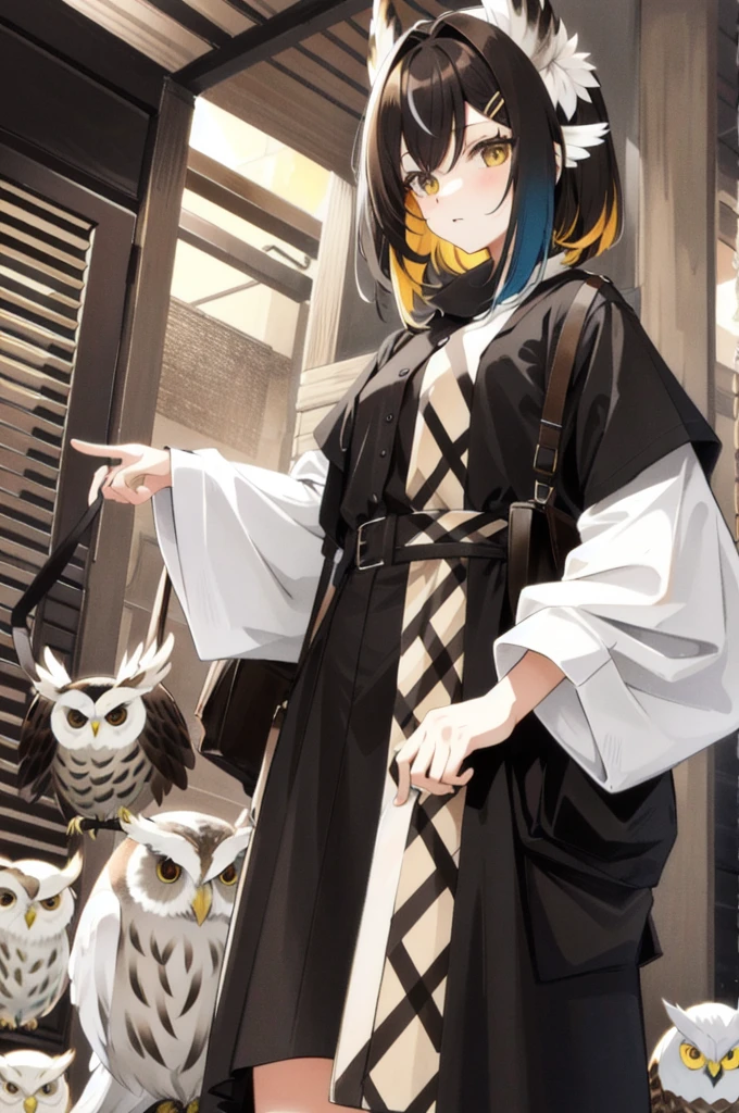 Owl Lady,Two-tone hair,Divided horizontally into different colors,Brown and black alternating