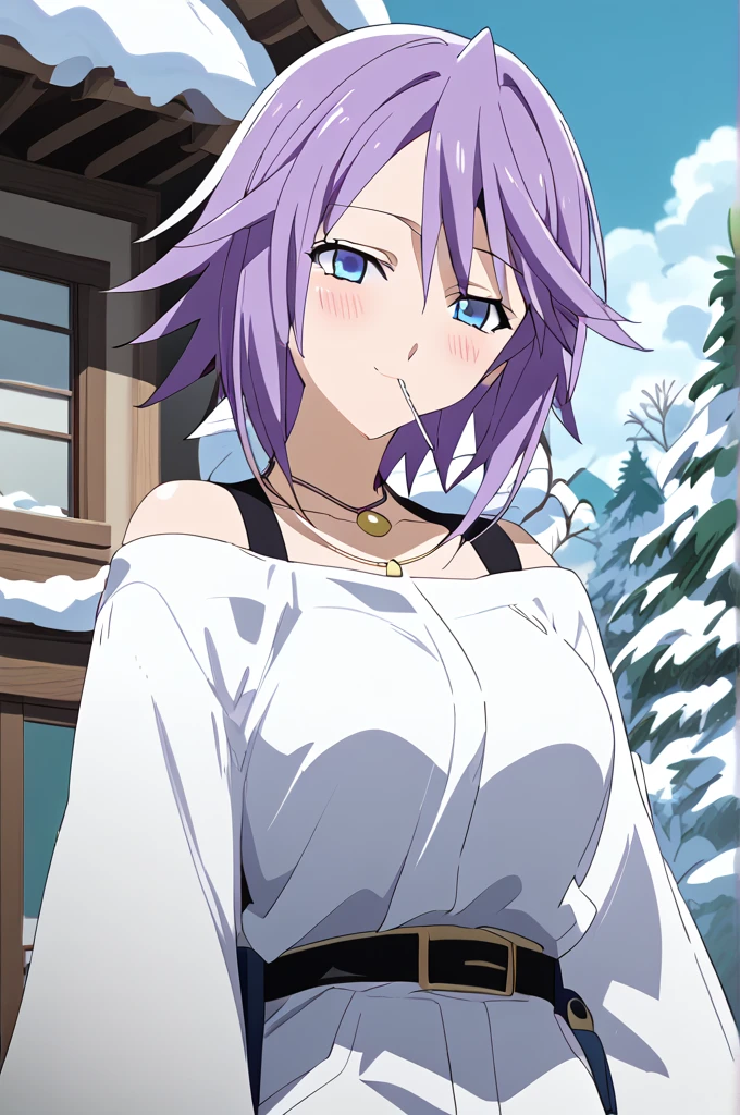 score_9, score_8_up, score_7_up, source anime, prefect lighting, very aesthetic, rating questionable,
1girl, shirayuki mizore, rosario+vampire, short hair, purple hair, blue eyes, anime screencap, lollipop,
Big breasts, blush, seductive smile, wearing a white yukata, long sleeves, necklace, lollipop, anime screencap, snowy landscape. FullHd, 8k