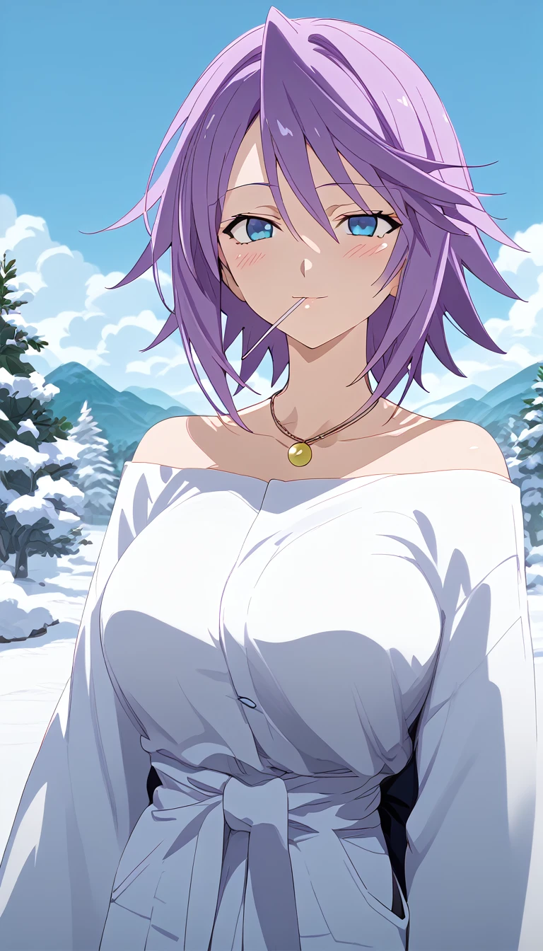 score_9, score_8_up, score_7_up, source anime, prefect lighting, very aesthetic, rating questionable,
1girl, shirayuki mizore, rosario+vampire, short hair, purple hair, blue eyes, anime screencap, lollipop,
Big breasts, blush, seductive smile, wearing a white yukata, long sleeves, necklace, lollipop, anime screencap, snowy landscape. FullHd, 8k