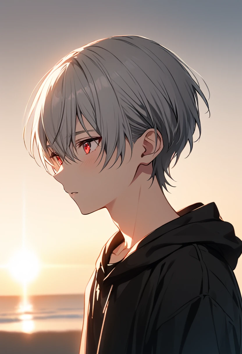 good looking, alone, 1 male, Gray Hair, Red eyes, Black Shirt, Black and white hooded, morning, White Light,Cute eyes,Short hairstyle,A cute boy,summer