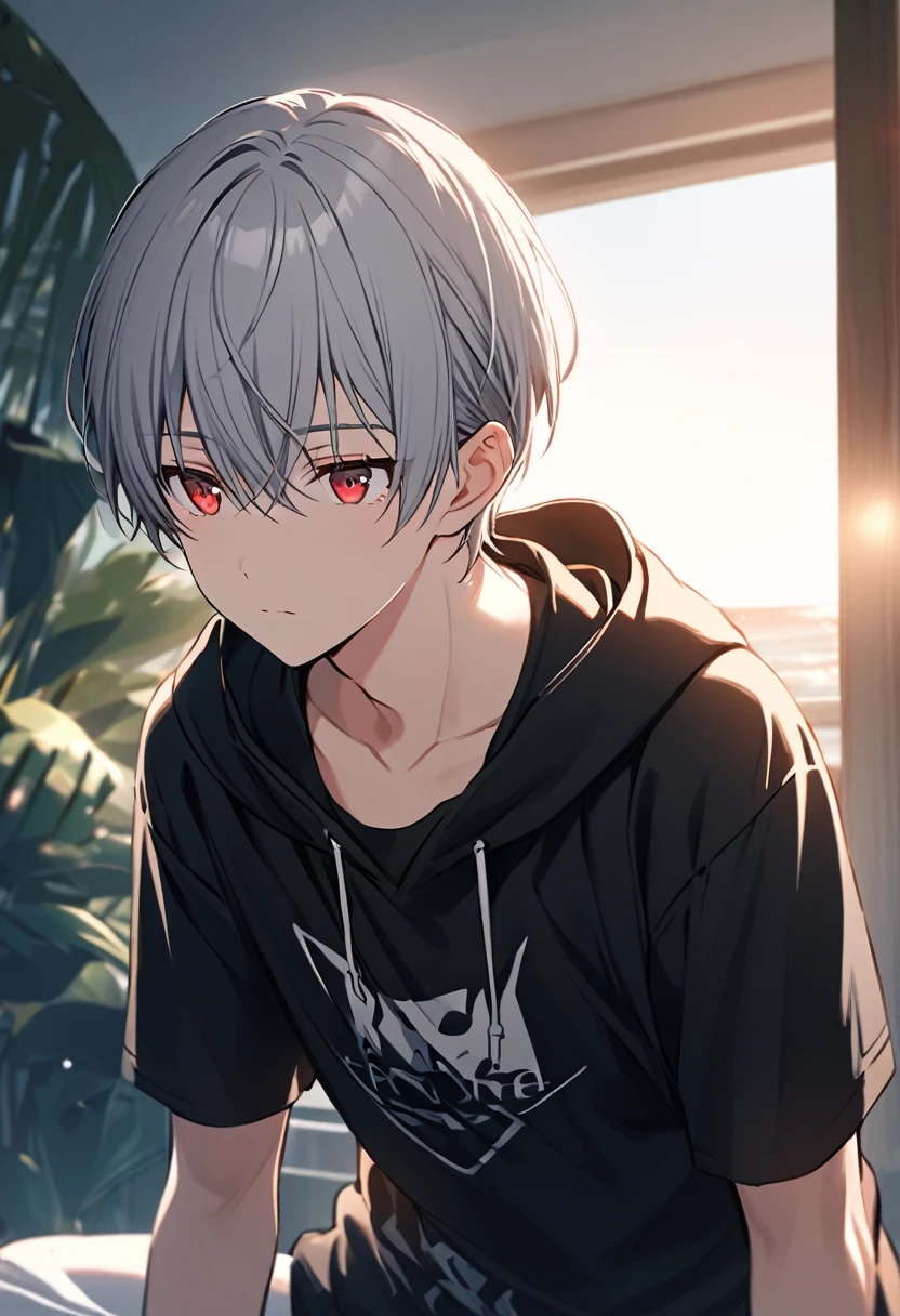 good looking, alone, 1 male, Gray Hair, Red eyes, Black Shirt, Black and white hooded, morning, White Light,Cute eyes,Short hairstyle,A cute boy,summer