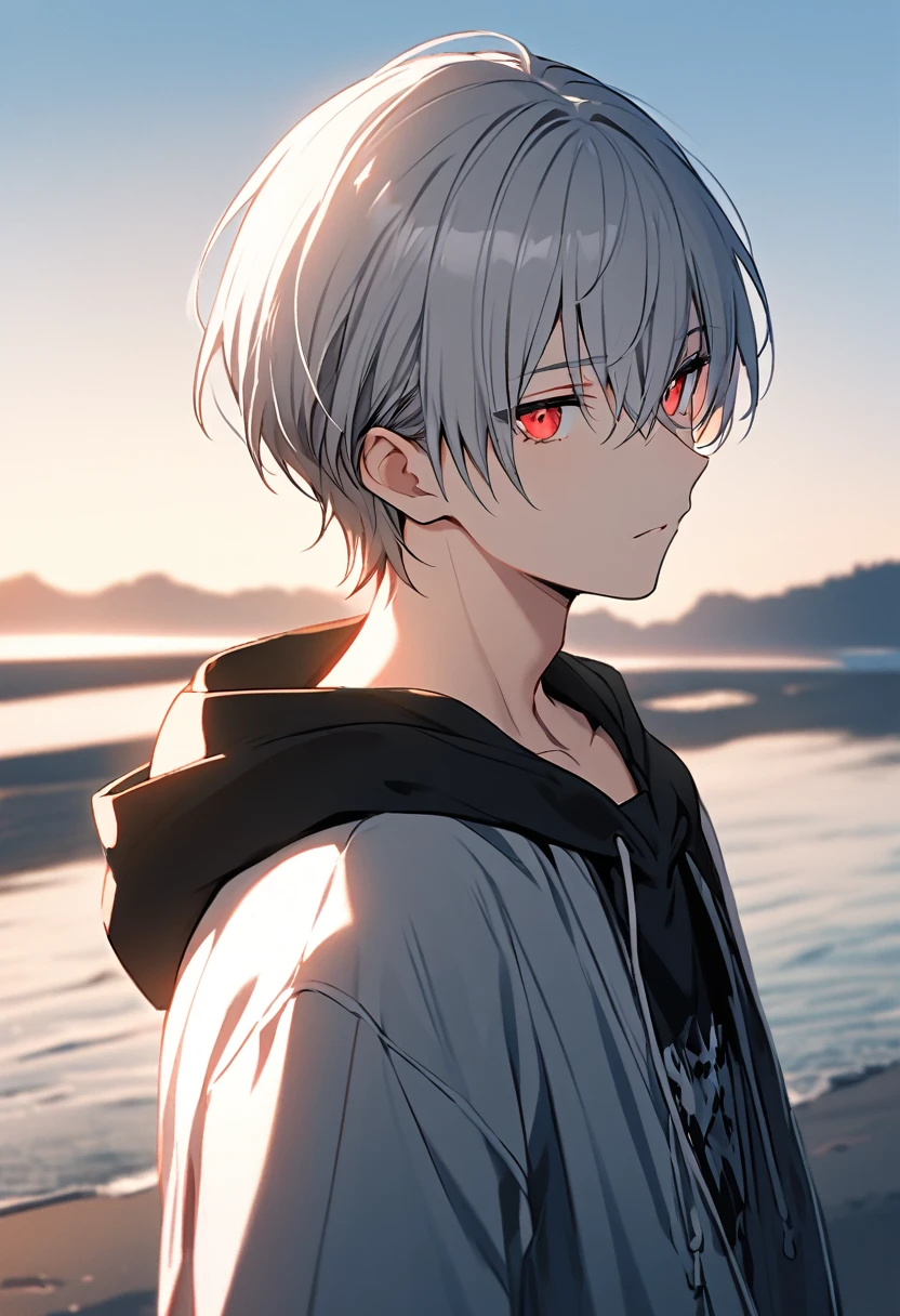 good looking, alone, 1 male, Gray Hair, Red eyes, Black Shirt, Black and white hooded, morning, White Light,Cute eyes,Short hairstyle,A cute boy,summer