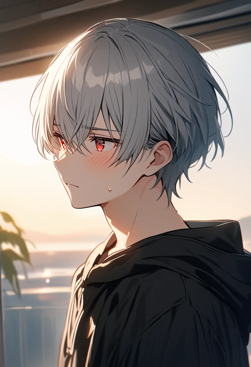 good looking, alone, 1 male, Gray Hair, Red eyes, Black Shirt, Black and white hooded, morning, White Light,Cute eyes,Short hairstyle,A cute boy,summer,Shy