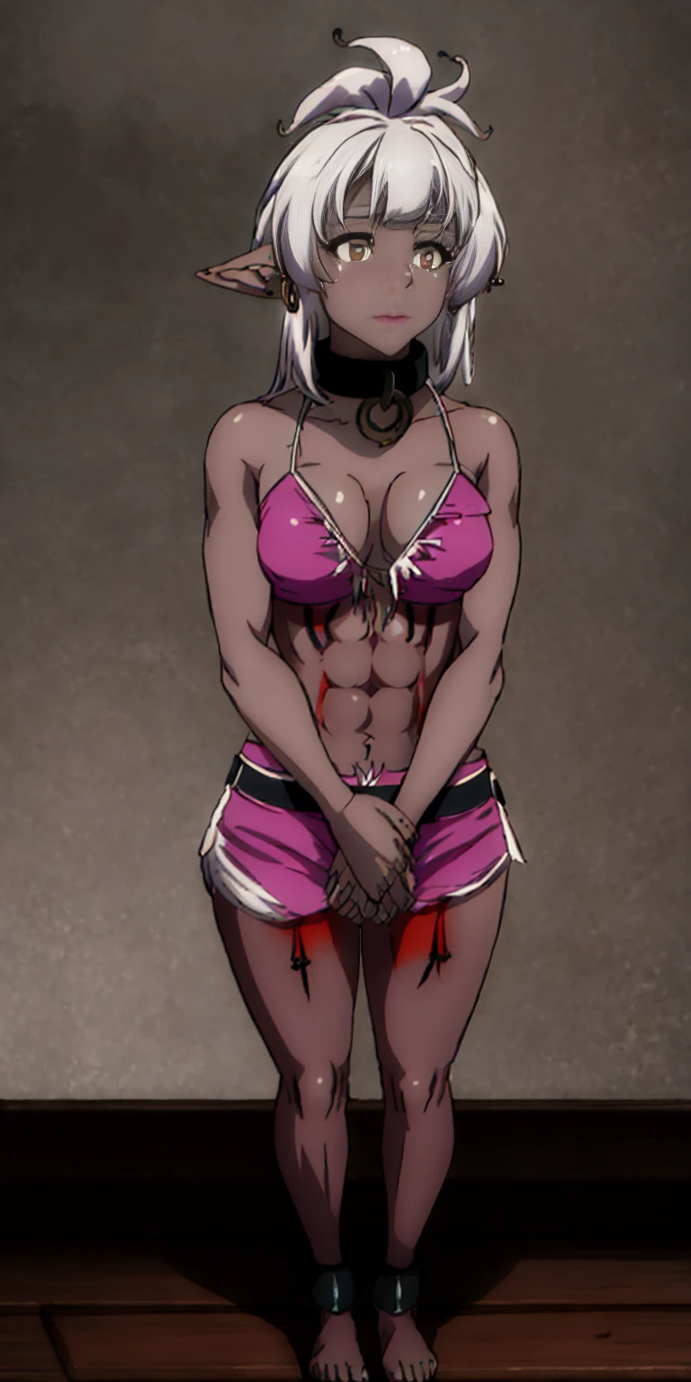 Appearance
Gender: Female
Age: Mature
Race: Drow (elf with dark skin and white hair)
Height: Full-body
Skin: Gray
Background: Plain Gray
Eyes: Purple
Attire: Bikini, revealing abdominal muscles
Accessories: Large earrings, ragged rags, chain necklace, leather collar choker neck bell 🔔 