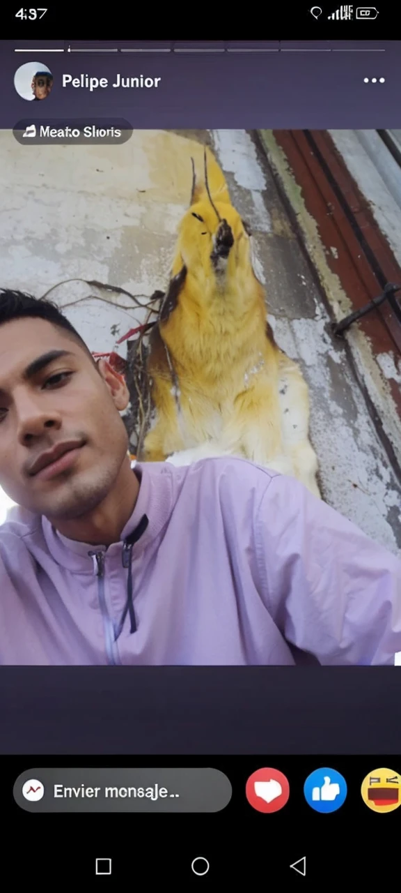 Chico 