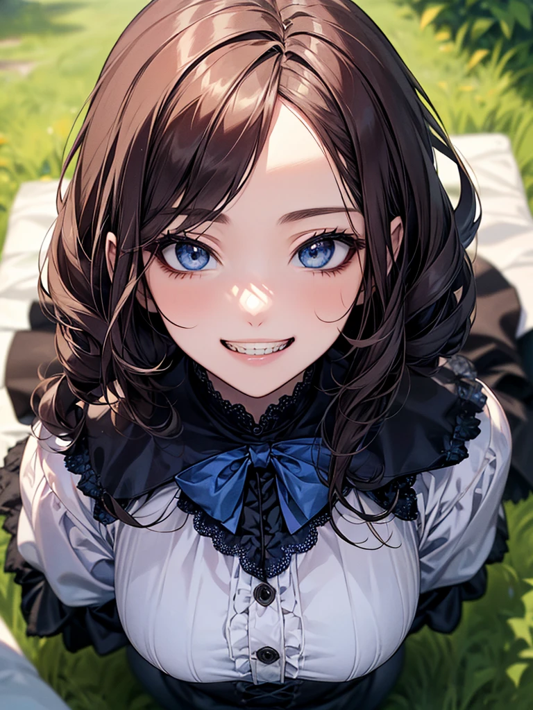 (Biologically correct limb count)、Full body, including face、4K、masterpiece、Focus on the face、Well-proportioned facial features、Delicate descriptive eyes、One beautiful woman、Excellent style、(Blue Gothic Lolita)、(Grin)、look up、Photos with white borders、Looking into the camera、Park lawn、