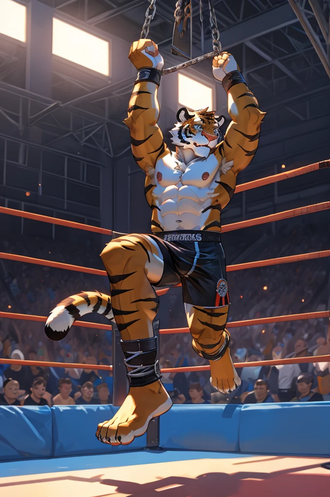 Tiger,Young Adults,strong,Wrestler,alone,Bare legs,Topless,Large penis,Barefoot,There was no one else around,black sport underwear,Handcuffs,Fetters,Hands are hoisted,Riding on a hexagonal platform.