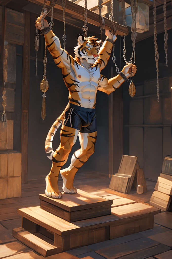 Tiger,Young Adults,strong,alone,Bare legs,Topless,Large penis,Barefoot,There was no one else around,black sport underwear,Handcuffs,Fetters,Hands are hoisted,Riding on a prism-shaped platform.