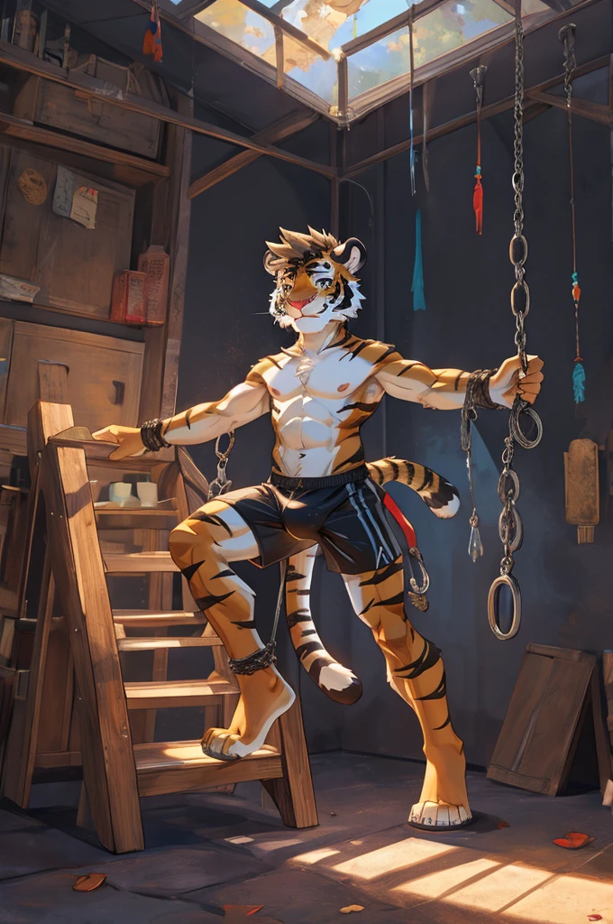 Tiger,Young Adults,strong,alone,Bare legs,Topless,Large penis,Barefoot,There was no one else around,black sport underwear,Handcuffs,Fetters,Hands are hoisted,Riding on a prism-shaped platform.