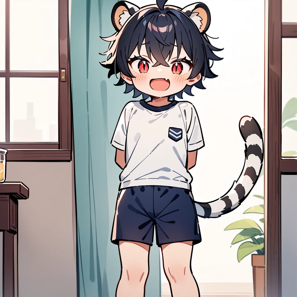 （（（（In the tank）））），（In a jar），（masterpiece：1.2，high quality），4K，High resolution，A four-year-old boy，cute boy， black hair，short hair，crossed bangs，red eyes，slit pupils， ahoge，tiger ears，laughing，skin fang，Wearing a white shirt，dark blue sports shorts，Standing in the room，Next to it is the window，curtain，primary school student，thigh，alone，tiger tail，((Hands behind your back))