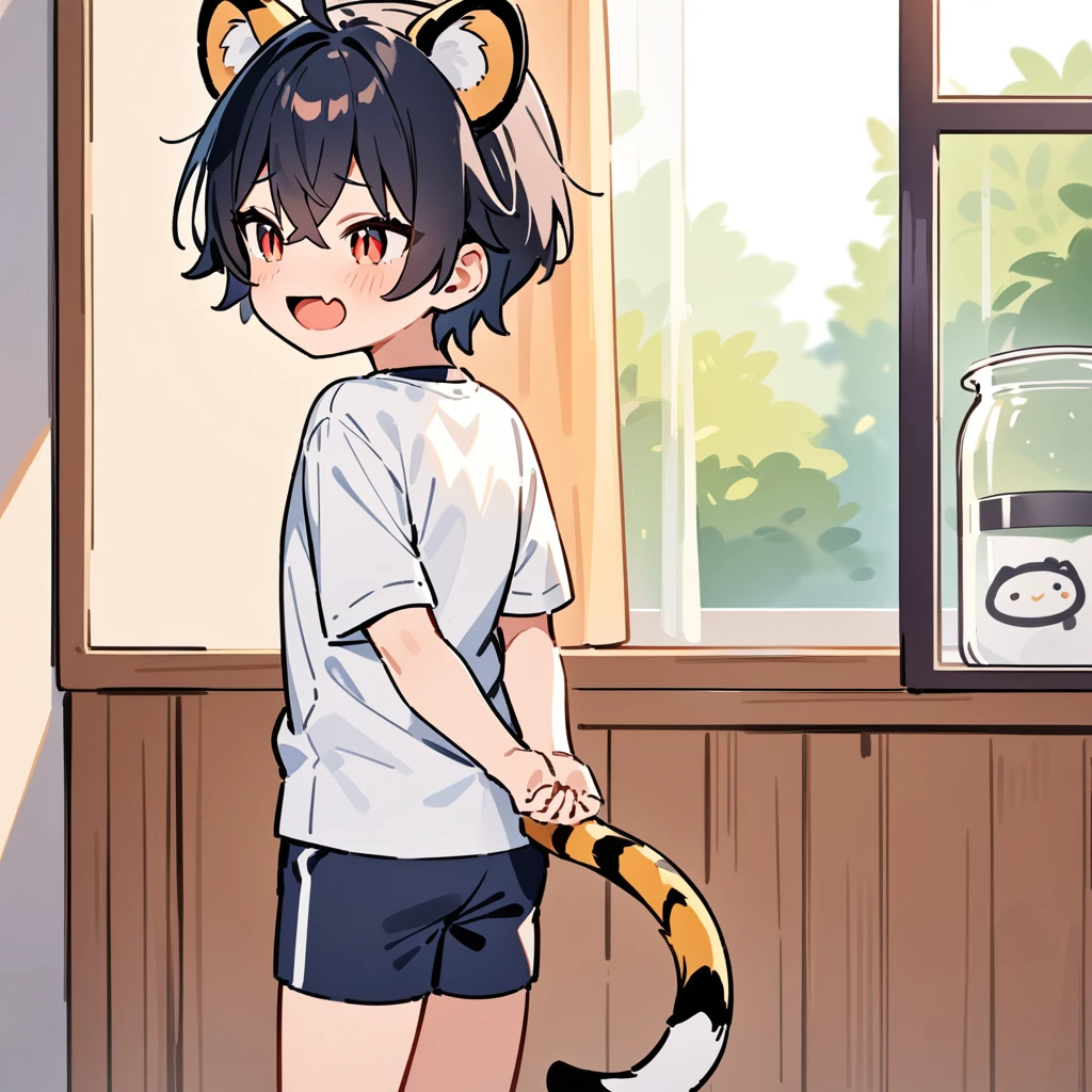 （（（（In the tank）））），（In a jar），（masterpiece：1.2，high quality），4K，High resolution，A -year boy，e boy， black hair，short hair，crossed bangs，red eyes，slit pupils， ahoge，tiger ears，laughing，skin fang，Wearing a white shirt，dark blue sports shorts，Standing in the room，Next to it is the window，curtain，primary sche，tiger tail，((Hands behind your back))