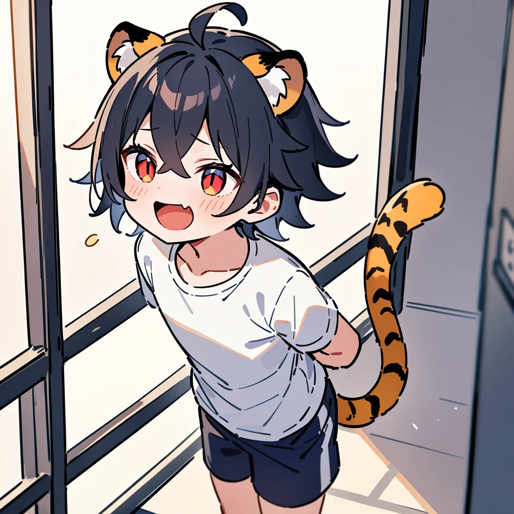 （（（（In the tank）））），（In a jar），（masterpiece：1.2，high quality），4K，High resolution，A four-year-old boy，cute boy， black hair，short hair，crossed bangs，red eyes，slit pupils， ahoge，tiger ears，laughing，skin fang，Wearing a white shirt，dark blue sports shorts，Standing in the room，Next to it is the window，curtain，primary school student，thigh，alone，tiger tail，((Hands behind your back))