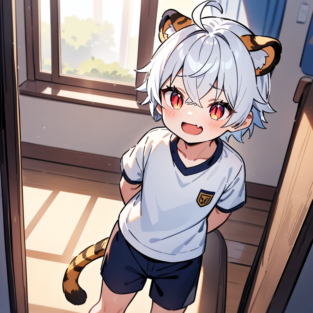 （masterpiece：1.2，high quality），4K，High resolution，A four-year-old boy，cute boy， white hair，short hair，crossed bangs，red eyes，slit pupils， ahoge，tiger ears，laughing，skin fang，Wearing a white shirt，dark blue sports shorts，Standing in the room，Next to it is the window，curtain，primary school student，thigh，alone，tiger tail，((Hands behind your back))