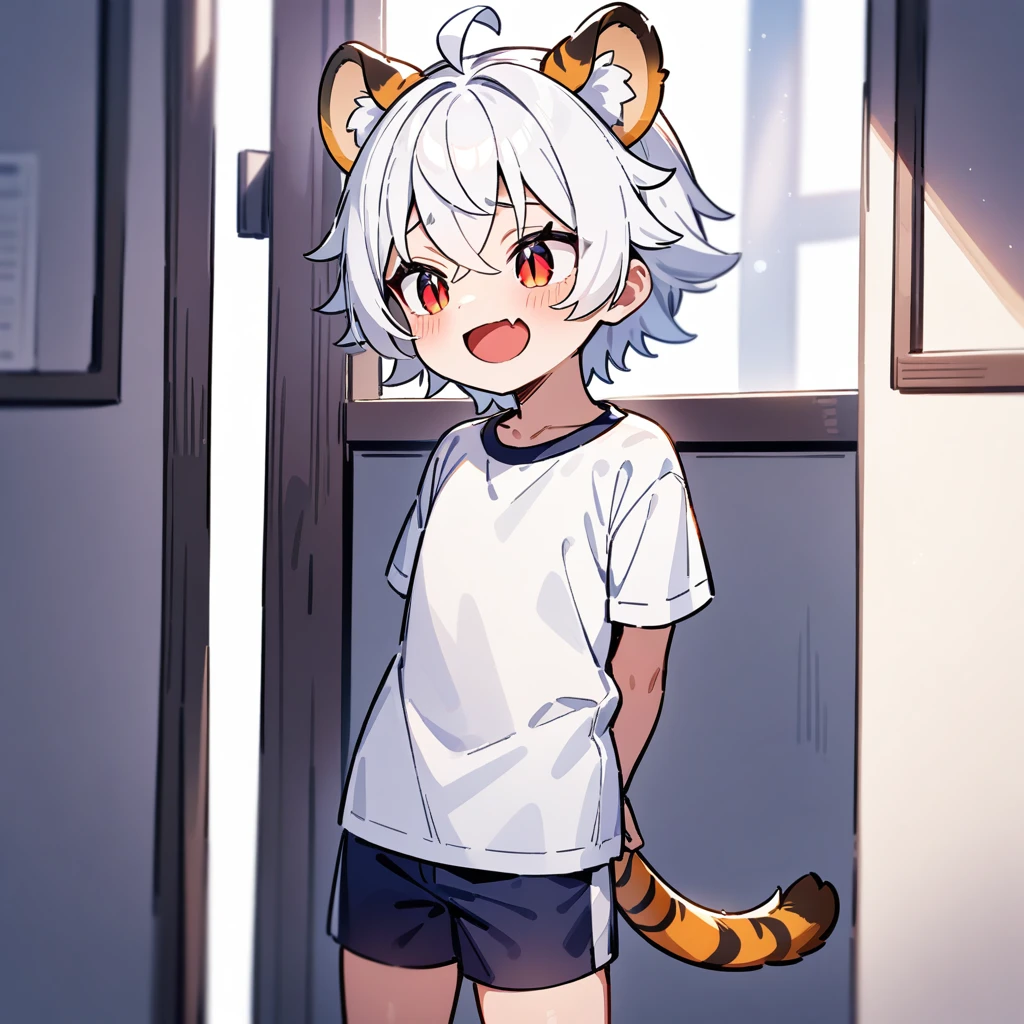 （masterpiece：1.2，high quality），4K，High resolution，A four-year-old boy，cute boy， white hair，short hair，crossed bangs，red eyes，slit pupils， ahoge，tiger ears，laughing，skin fang，Wearing a white shirt，dark blue sports shorts，Standing in the room，Next to it is the window，curtain，primary school student，thigh，alone，tiger tail，((Hands behind your back))