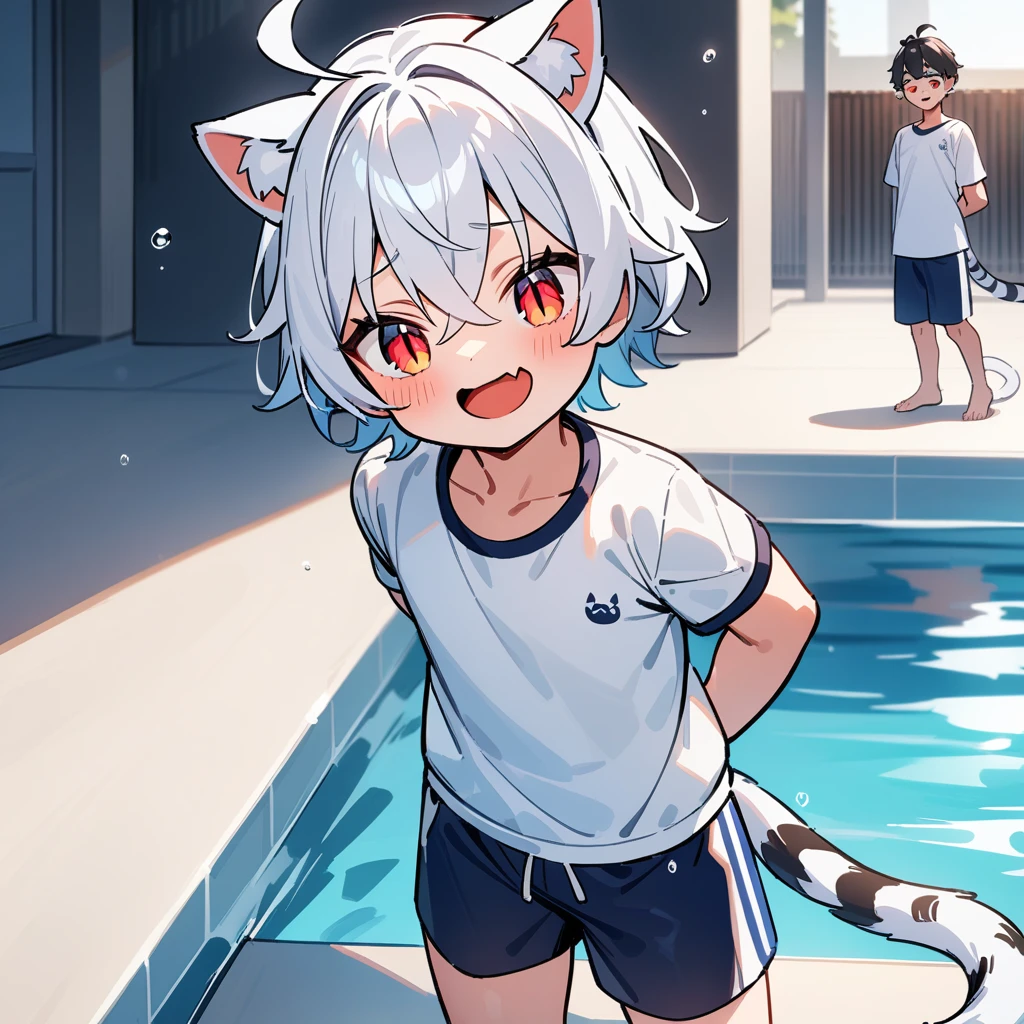 (masterpiece:1.2,high quality),4K,High resolution,A four-year-old boy,cute boy, white hair,short hair,crossed bangs,red eyes,slit pupils, ahoge,cat ears,laughing,skin fang,Wearing a white sports top,dark blue swimming trunks,Standing in the pool,primary school student,thigh,alone,tiger tail,((Hands behind your back))