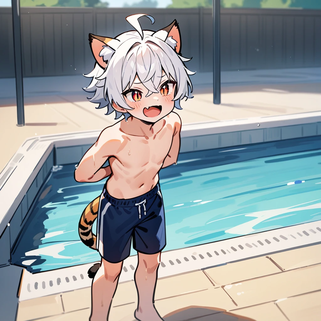 （masterpiece：1.2，high quality），4K，High resolution，A four-year-old boy，cute boy， white hair，short hair，crossed bangs，red eyes，slit pupils， ahoge，cat ears，laughing，skin fang，no sports top，Topless，dark blue swimming trunks，Standing in the pool，primary school student，thigh，alone，tiger tail，((Hands behind your back))