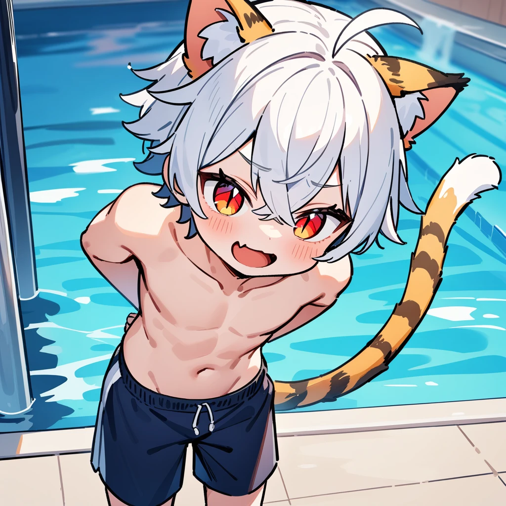 (masterpiece:1.2,high quality),4K,High resolution,A four-year-old boy,cute boy, white hair,short hair,crossed bangs,red eyes,slit pupils, ahoge,cat ears,laughing,skin fang,no sports top,Topless,dark blue swimming trunks,Standing in the pool,primary school student,thigh,alone,tiger tail,((Hands behind your back))