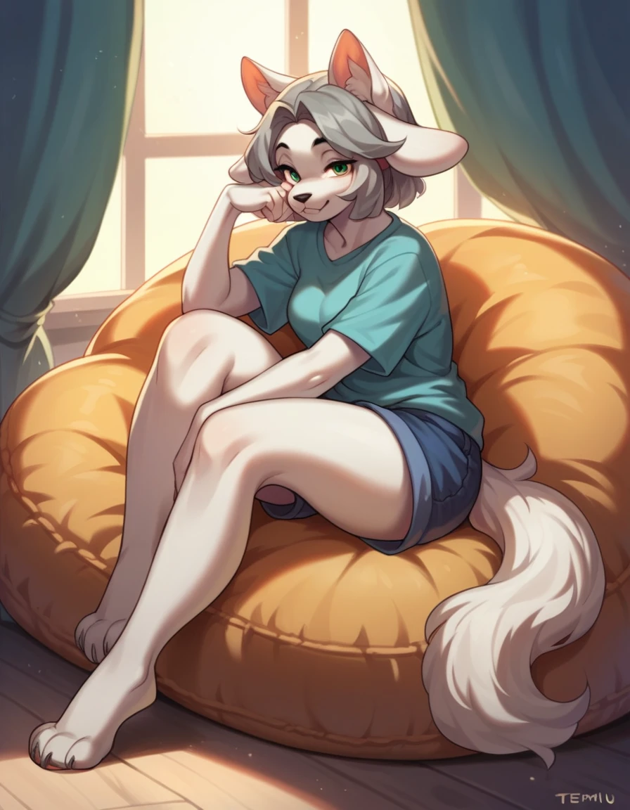score_9,score_8_up,score_7_up, source_anime, temmie from undertale, Anthro girl, short silver grey hair, white furry body, canine feline hybrid girl, floppy white dog ears, white cat ears, wearing shirt, shorts, barefoot, feet paws four toes, sitting on a beanbag chair, playful pose