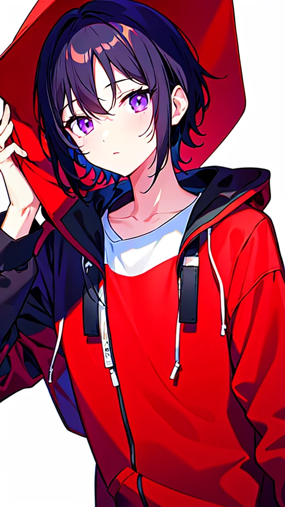 [(WHITE BACKGROUND:1.5),::5], ((((masterpiece)))), high quality, ultra very high resolution, full color, (((solo))), ((younger boy)), Black hair, (Purple eyes), anime, ((upper body)), red parka,