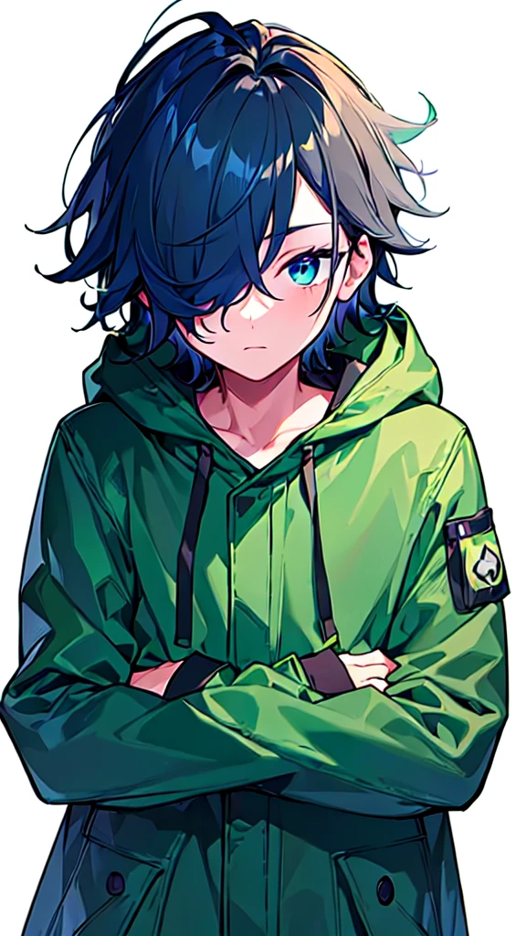 [(WHITE BACKGROUND:1.5),::5], ((((masterpiece)))), high quality, ultra very high resolution, full color, (((solo))), ((younger boy)), dark Blue hair, ((hair covering one eye)), (green detailed eyes), anime, ((upper body)), gray parka, parka food, (Black mask)